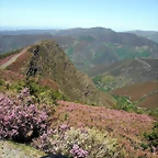 DSCF2569