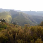 DSCN0066