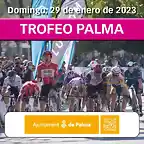 05- TROFEO PALMA AFICHE