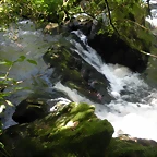DSCN2840