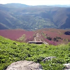 DSCN5114