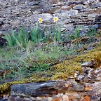 DSCN9186