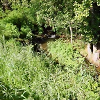 DSCN2378
