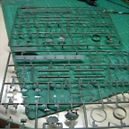 DSCN2358
