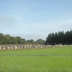 DSCN9740