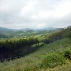 DSCN5921