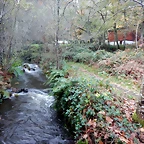 DSCN1803