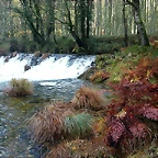 DSCN9170