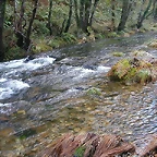 DSCN9168