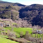 DSCN8043