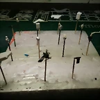 20190728_232147