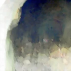 DSCN0493