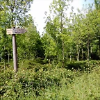 DSCN2442