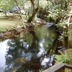 DSCN6964