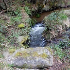 DSCN3003