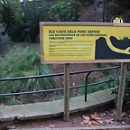Zoo de Barcelona 10-11-11 i 11-11-11 171