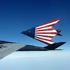 F-117 Nighthawks. Pintado especialmente con la bandera americana. 121 escuadrn areo de la Guardia Nacional de Ohio. Ao 2008