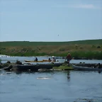 P1010758