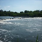 P1010738
