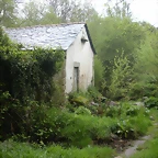 DSCN4175