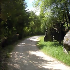 DSCN5346