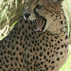 Argentina 2010 4354