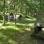 DSCN6522