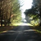 DSCN9783