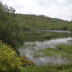 DSCN3501