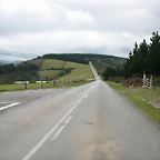 DSCN3126
