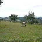 DSCN3122