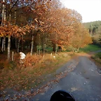 DSCN0518