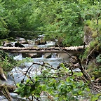 IMG_7561
