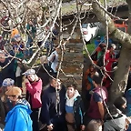 DSCN3184