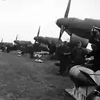 Junkers_Ju_87_Stuka_dive_bombers