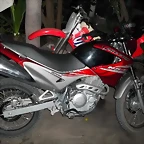 nx4 falcon