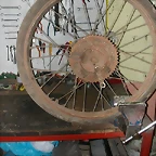 DSCN7753