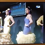 Pasarela 13-2-2015 (15)