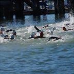 DSC06220_2947x1958