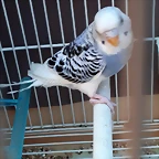 20190915_131016
