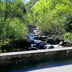 023-IMG_5986