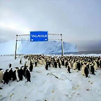 16002845_10211787772433749_2781688673408620684_n