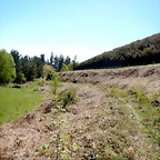 DSCN4529