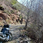 DSCN7989