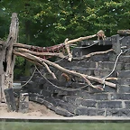 Zoos Duisburg y Krefeld 02-10-09 597