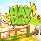 Hay-Day