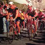 TOUR 1975-MERCKX