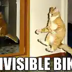 bici-invisible