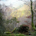 DSCN0690