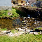 DSCN4536